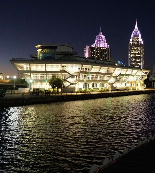 Scenic & City Lights Live Music Dinner Cruise